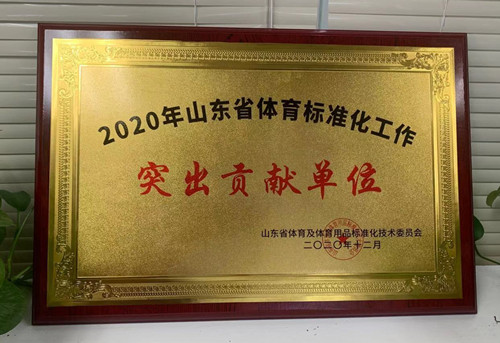 恭喜九游娱乐Nineame官方网站體育榮獲山東省體育及體育用品標(biāo)準(zhǔn)化技術(shù)委員會授予“突出貢獻(xiàn)單位”榮譽稱號